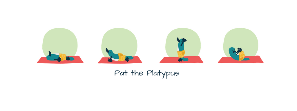 Pat the platypus doing 4 yoga poses
